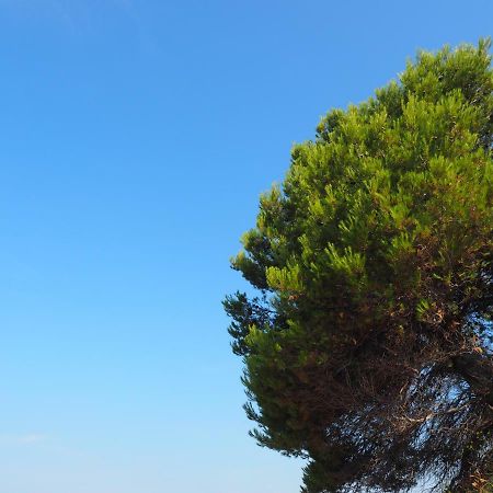 Apartman Stura 1 Ζαντάρ Εξωτερικό φωτογραφία